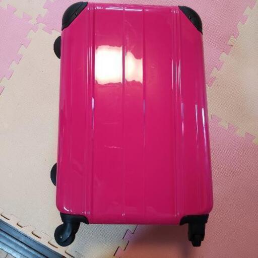 キャリーバッグ大きめ