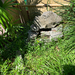 元、日本庭園っぽい物の画像