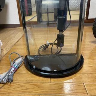 熱帯魚水槽