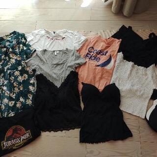 レディース服　Lサイズ