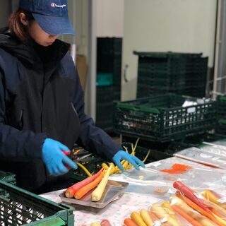 オーガニック農園の出荷作業スタッフ　募集の画像