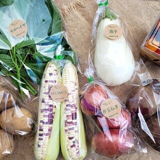 オーガニック農園の出荷作業スタッフ　募集の画像