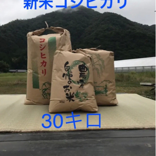 令和3年産新米コシヒカリ100% 30kg 福井県産　低農薬