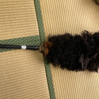 【期間限定9/22まで】車の毛ばたき　（掃除用）　イーエスシーア...