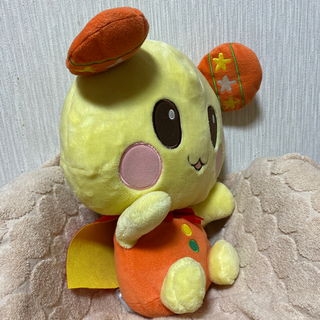 決まりました‼️ 
ワンワンとうーたんの画像