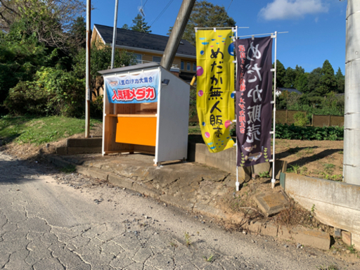 小美玉めだか無人販売所9月21日オープン (小美玉めだか) 羽鳥の