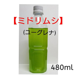 ミドリムシ  商談次第で値段交渉あり
