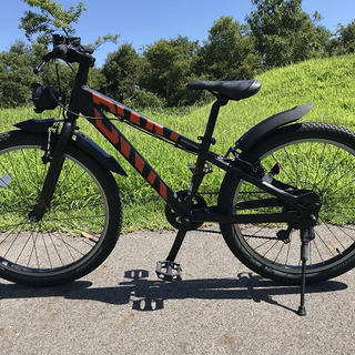 【☆美品☆】ジュニア向け自転車２４インチ　/　BWX - ブリヂストン【整備済み】の画像