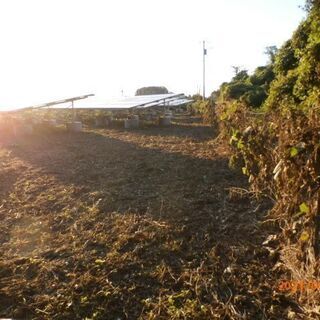 格安（1坪50円）草刈りやります！　激安価格！埼玉県・群馬県　
