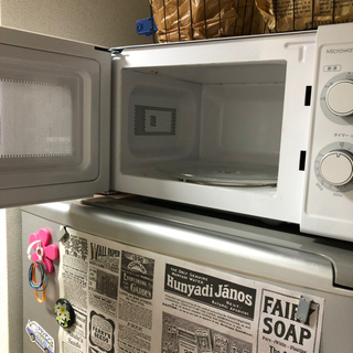 引き取り可能な方の画像