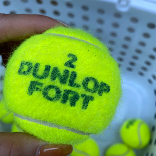 硬式テニスボールの画像