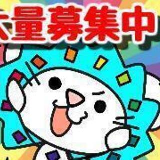 【沖縄市】データチェックのお仕事♪の画像