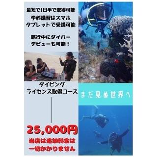 ダイビングCカード（オープンウォーターダイバー）取得コース