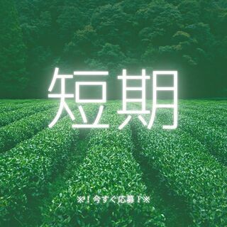 12月末までの短期★高時給1,500円◎簡単マスキング作業！日払...