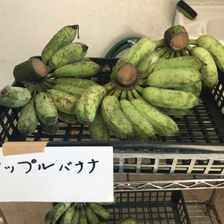【完売】アップルバナナ