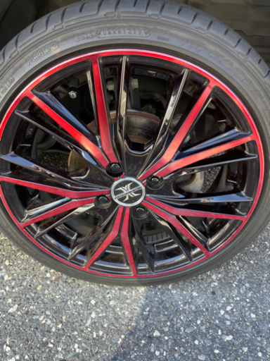 ロクサーニマグナス　☆2本のみ☆