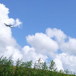 教育に関心のある人お話しませんか。いじめのない学校！一人一人の価...