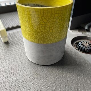 domani その他の中古が安い！激安で譲ります・無料であげます