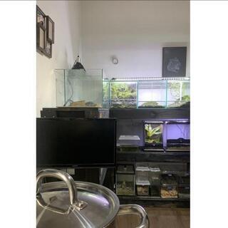 水槽台