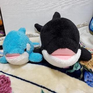 鴨川シーワールドシャチぬいぐるみセット