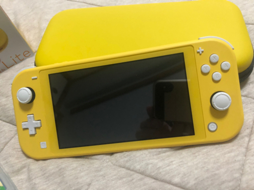 (大特価)任天堂Switch light