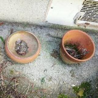 あげます　植木鉢　中古の画像