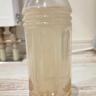 ゾウリムシ　種水400ml  