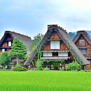のんびりサークル🐱ニャンカメラ📷 − 兵庫県