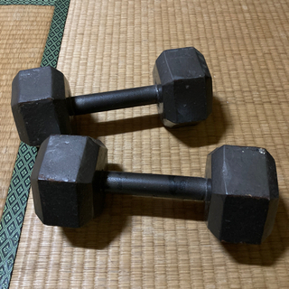 筋トレ！鉄ダンベル10K×2