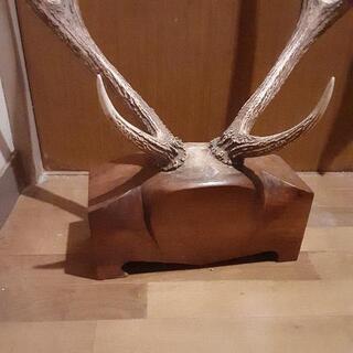 鹿の角の置物の画像