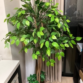 造花　観葉植物