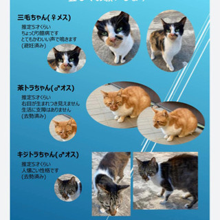 決まりました！ありがとうございます！