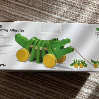 プラントイ⭐︎ダンシングアリゲーターの画像