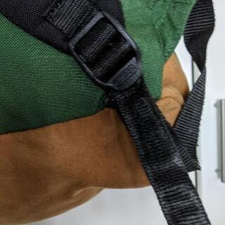 outdoor グリーン リュックの画像