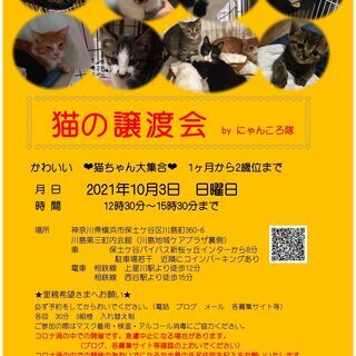 猫の譲渡会　by にゃんころ隊