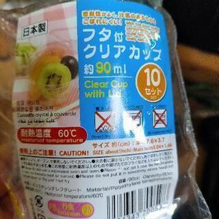 レッドローチ卵