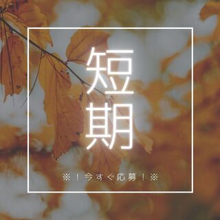 短期募集★免許さえあれば即戦力！フォークリフトスタッフ◎1日5時間・Wワーク歓迎・日払い制度あり♪【nk】A11K0164-2(2)の画像