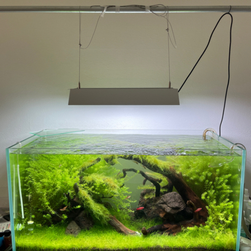 ADA 90センチ水槽　再投稿