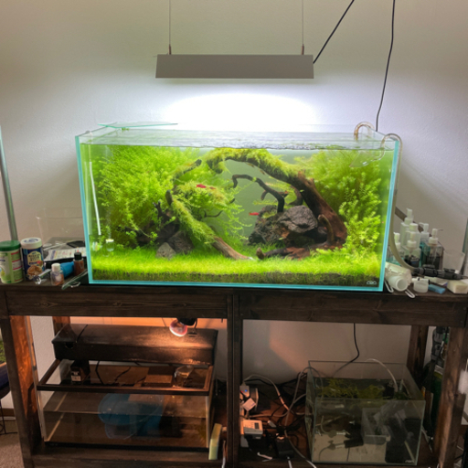 ADA 90センチ水槽　再投稿