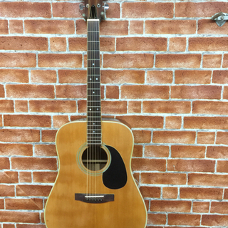 アリアウェスタンギター W250 中古