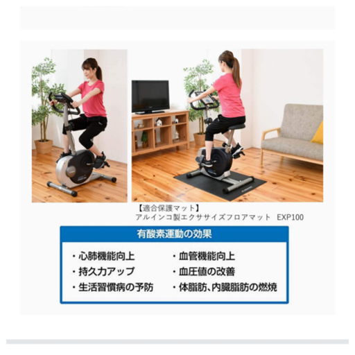 Alincoエアロマグネティック フィットネスバイク AF6200