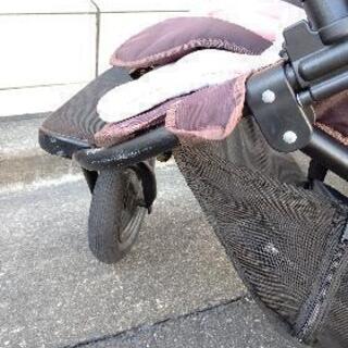バギーの画像