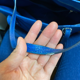 今週中、コーチ☆バックの画像