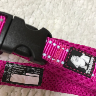 犬用★TRUE LOVE 首輪（Amazon）の画像