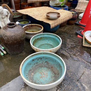 睡蓮バチ　メダカ鉢　鉢　の画像