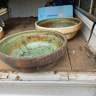 睡蓮バチ　メダカ鉢　鉢　の画像