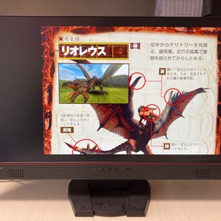 EIZO ナナオ FORIS FS2434 ゲーミングモニター