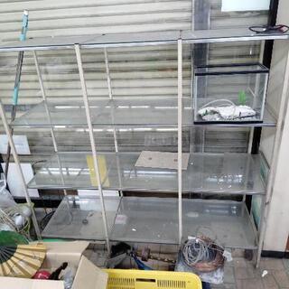 12日に廃棄!ショーケース