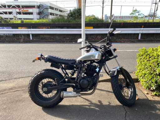 TW225E カスタム レアパーツ付き
