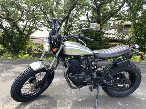 TW225E カスタム レアパーツ付き